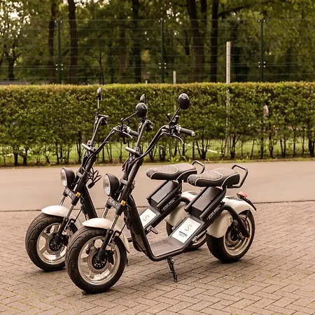 In Near Veluwe Forests *