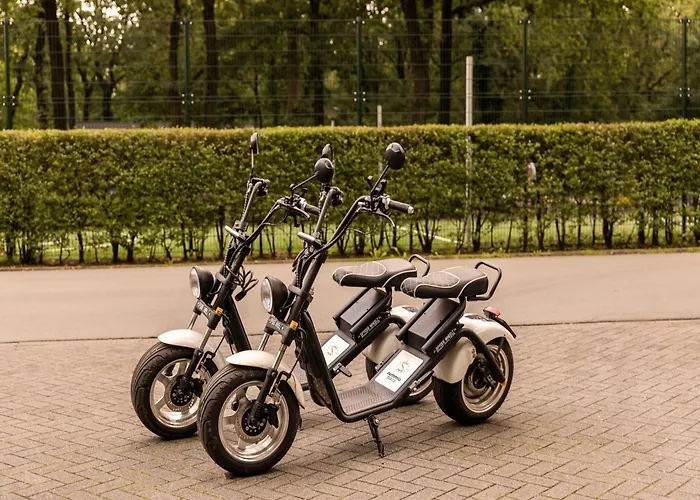 In Near Veluwe Forests *