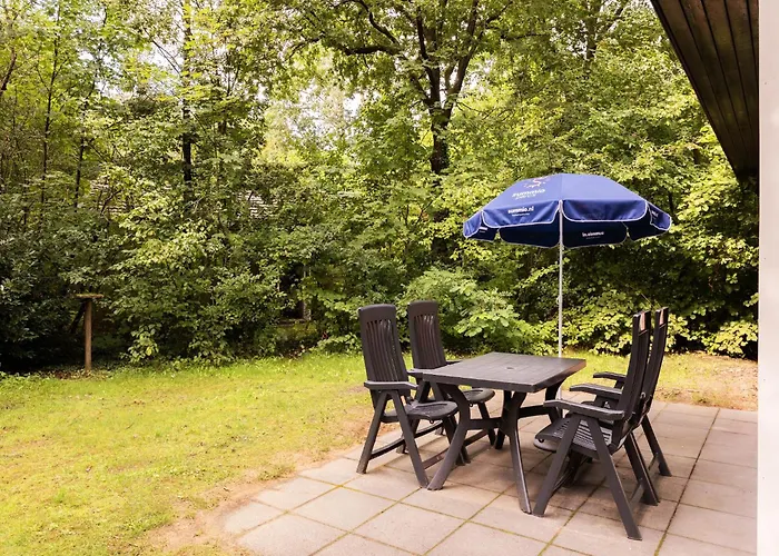 In Near Veluwe Forests * Putten